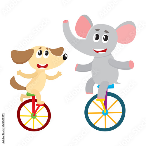 Cute little dog, puppy and elephant characters riding bicycles, unicycles, cartoon vector illustration isolated on white background. Baby dog, puppy and elephant characters riding bicycle, unicycle