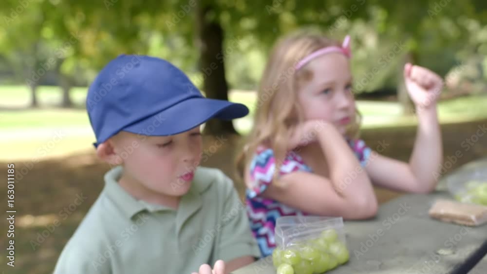 Cute Little Kids (Brother/Sister) Eat Healthy Picnic In Park Together, They Laugh And Talk Cute Little Kids (Brother/Sister) Eat Healthy Picnic In Park Together, They Laugh And Talk