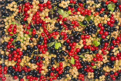 Black, red and white currant berries with green leaves on a wooden background.