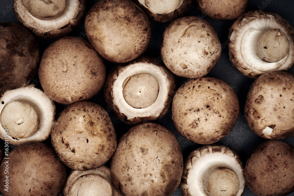 Heap of mushrooms close-up. Heap of mushrooms close-up.