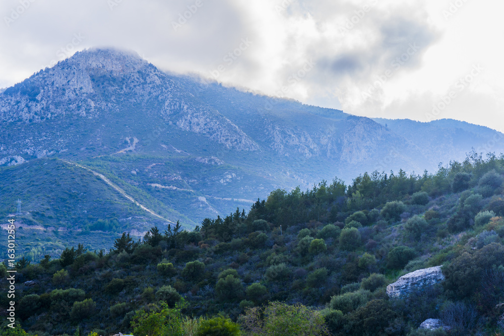 Obraz premium Krajobraz