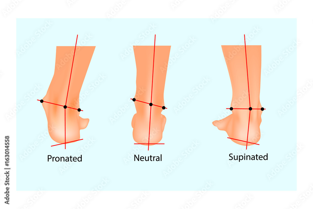 Supination og pronation 2025