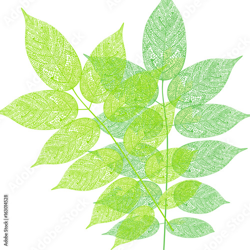 Baum Blätter Muster illustration