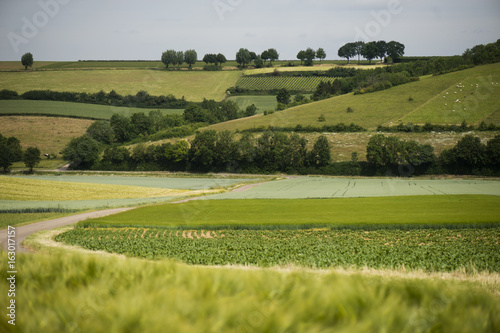 agrarisch landschap in zuid-limburg photo