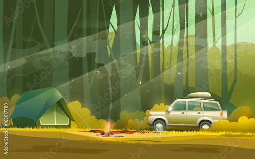 Camp and car in forest