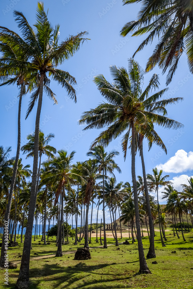 Anakena palm beach and Moais statues site ahu Nao Nao, easter island