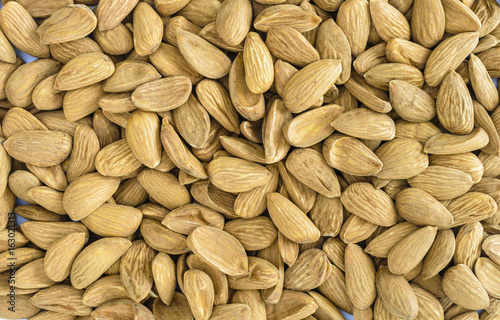 Mamra Almonds