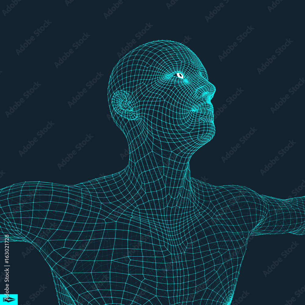 Obraz premium 3D Model of Man. Human Body Wire Model. Design Element. Technology Vector Illustration.