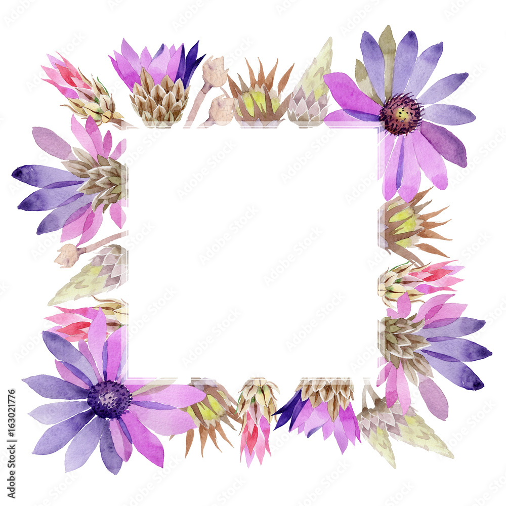 Wildflower immortelle flower frame in a watercolor style. Full name of the plant: immortelle. Aquarelle wild flower for background, texture, wrapper pattern, frame or border.