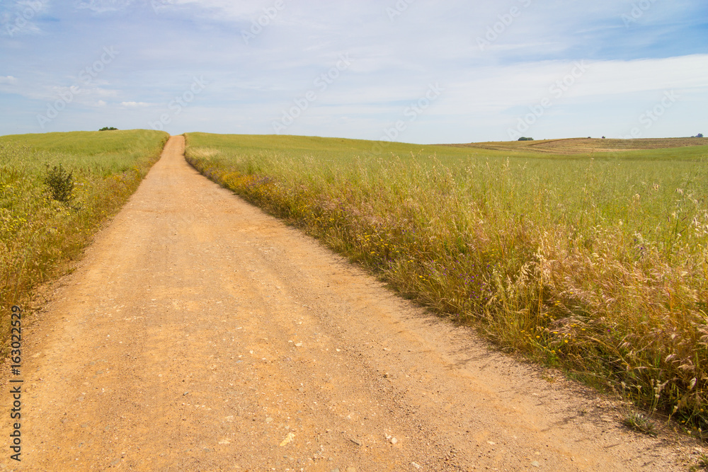 Naklejka premium Farm road in Vale Seco, Santiago do Cacem