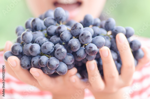 Woman holding red grape in hand and ready to eating,Grape harvest,Healthy fruit