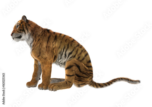 Fototapeta Naklejka Na Ścianę i Meble -  3D Rendering Big Cat Tiger on White