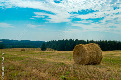 Hay and straw bales in the end of summer © lmp612