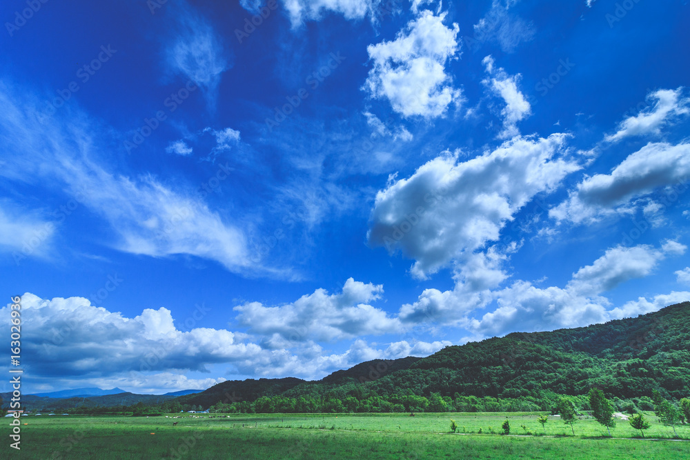 北海道 大自然 牧場