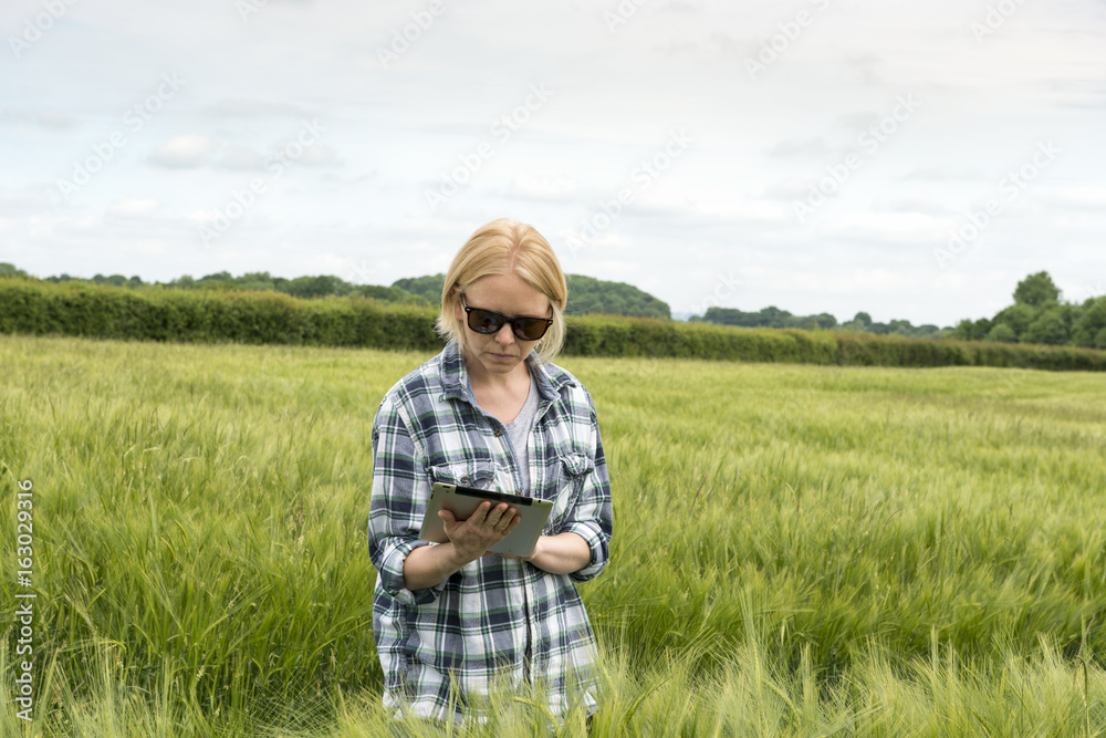 Woman Holding a Tablet in the Middle of a Wheat Field Woman Holding a Tablet in the Middle of a Wheat Field