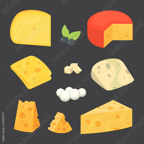 Cheese types . cartoon style vector illustration icons.