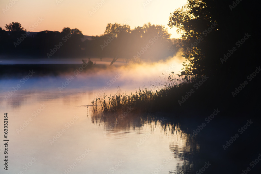 Misty forest river in morning sunlight. Countryside landscape