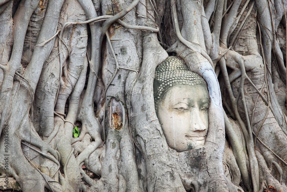 Head of Buddha statue in the tree roots at Wat Mahathat temple, Ayutthaya provonce, Thailand.