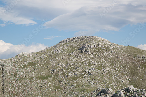 Cavallo solo sulla vetta, Monte Cervati photo