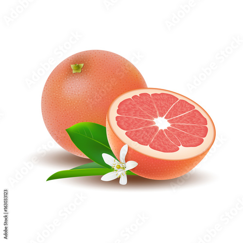 Isolated colored group of grapefruits, half and whole juicy fruit with white flower, green leaf and shadow on white background. Realistic citrus.