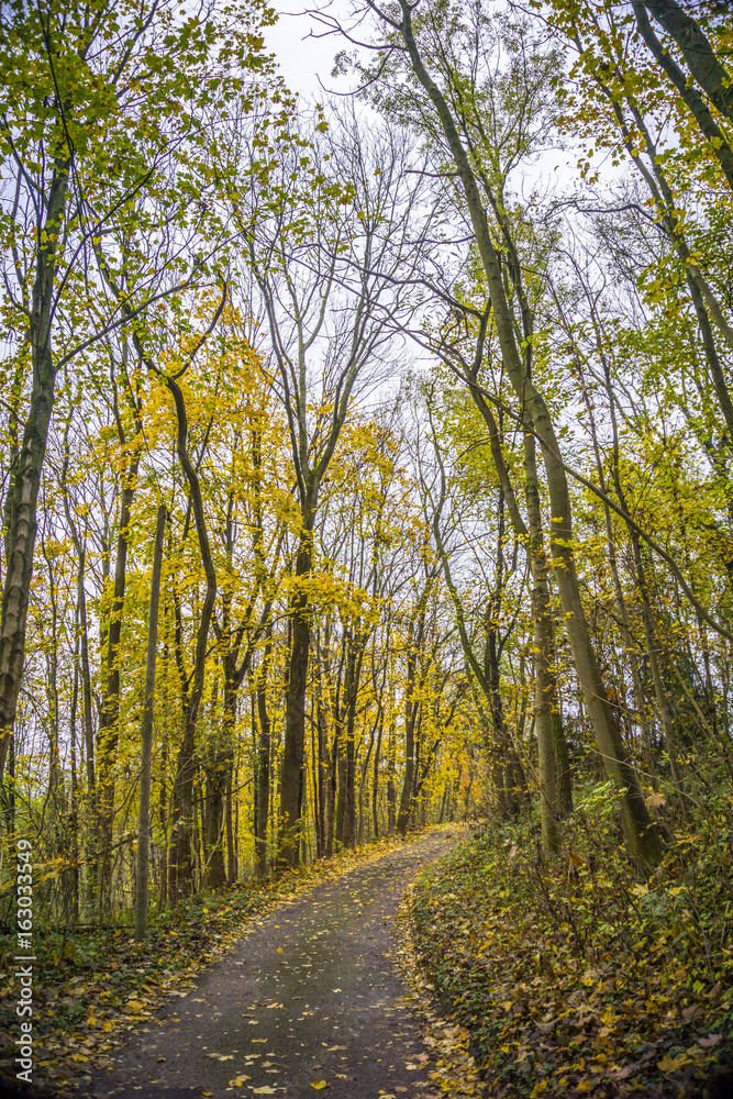 Natur, Wandern, Erleben, Urlaub, Freizeit