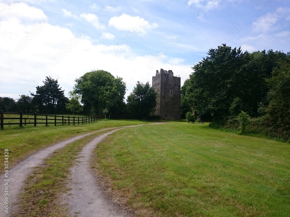 Ballintotis Castle County Cork Ireland