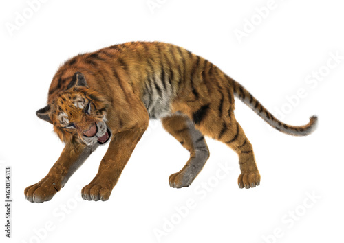 Fototapeta Naklejka Na Ścianę i Meble -  3D Rendering Big Cat Tiger on White