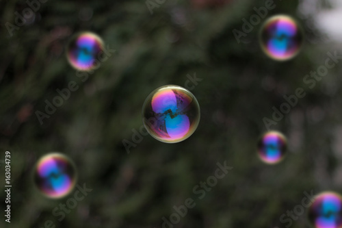 Bulle photo