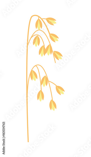 Ripe ear of oat icon. Agricultural farming, natural harvest vector illustration isolated on white background.