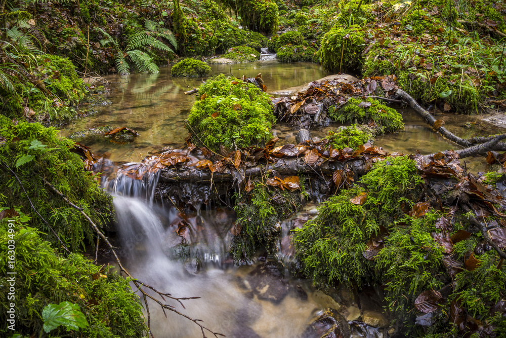 Natur, Wandern, Erleben, Urlaub, Freizeit