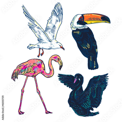 Super set of cute cartoon birds