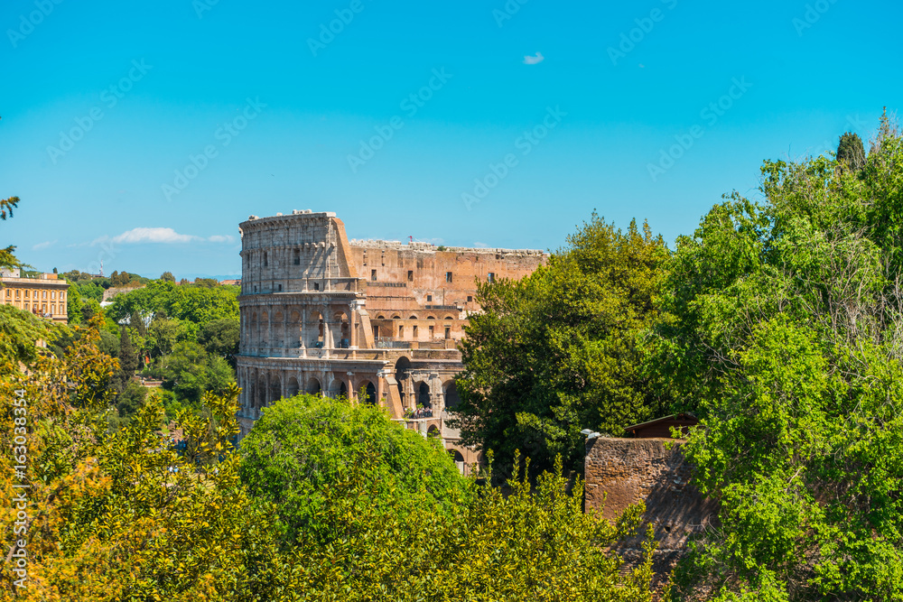 Walls of Colosseum behind trees