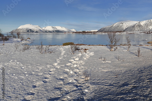 View over Litleoya-island to Roksoyfjorden-Gavltinden+Kvasstinden (left)-Fornesfjellet+Innerheia mountains (right). Hinnoya+Andoya islands-Vesteralen-Norway.0031