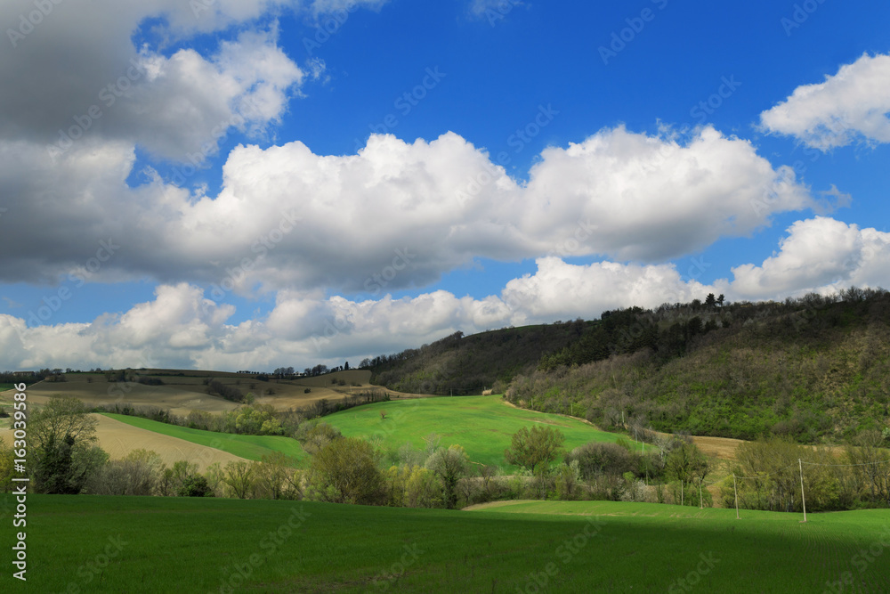 Countryside landscape, green fields in spring day