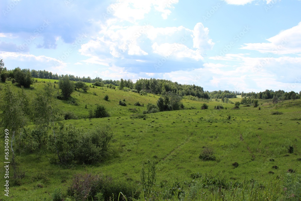 Fototapeta premium Typical for the Central Russian Upland landscapes - a rugged terrain with ravines and forest plantations along the fields.