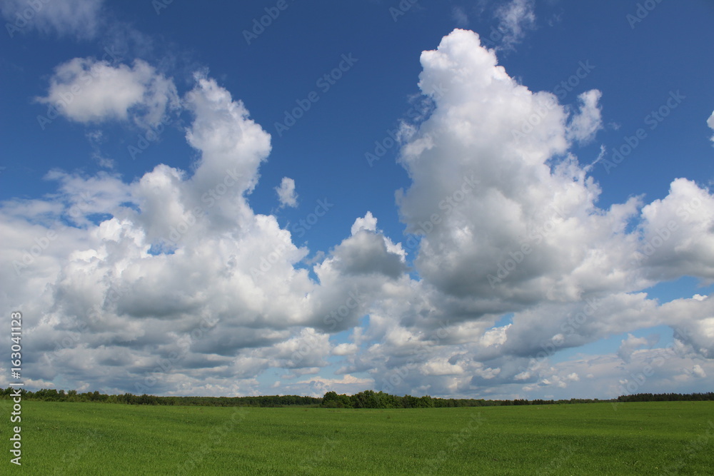 Beautiful cumulus clouds in the sky above the green field. Beautiful cumulus clouds in the sky above the green field.