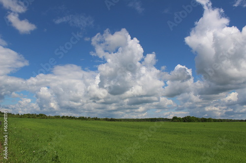 Beautiful cumulus clouds in the sky above the green field.
