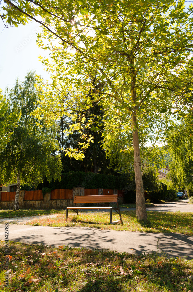 Obraz premium tranquil in park outdoor. romantic place neighborhood. 