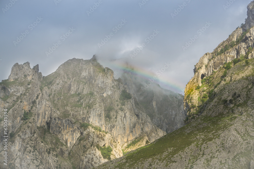 Obraz premium Beautiful landscape of the mountains in Picos de Europa in Spain; hiking trail in foggy and cloudy summer day