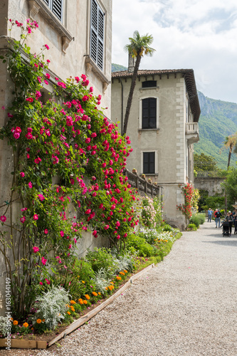 Fleurs le long de la façade