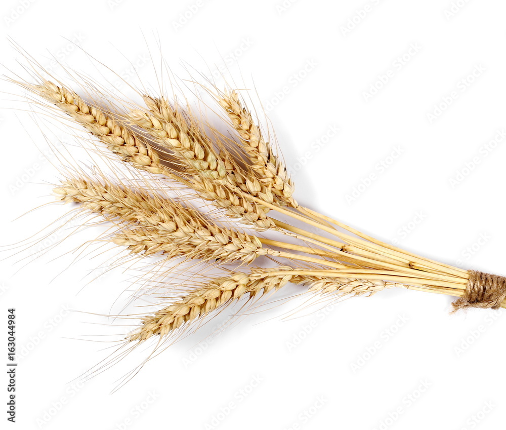 Ears of wheat isolated on white background, top view