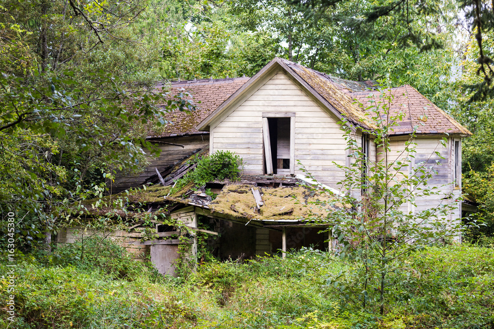 Broken down forgotten house in an overgrown forest Broken down forgotten house in an overgrown forest