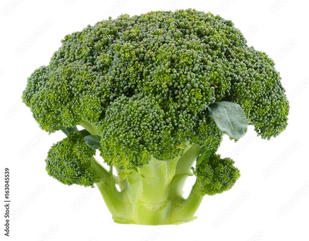 broccoli isolated on white background broccoli isolated on white background