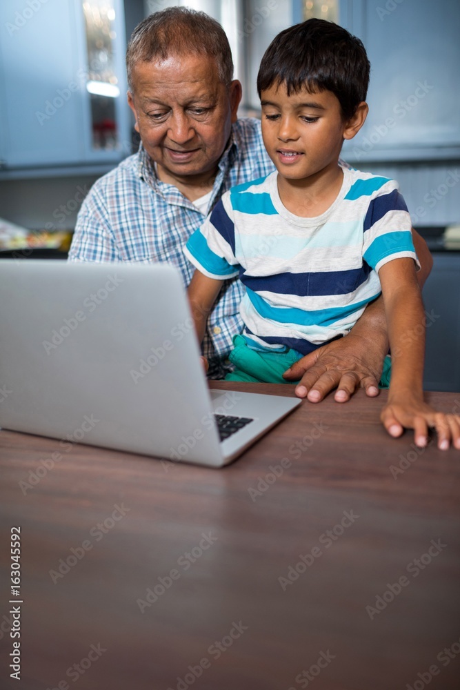 Obraz premium Grandfather with boy using laptop