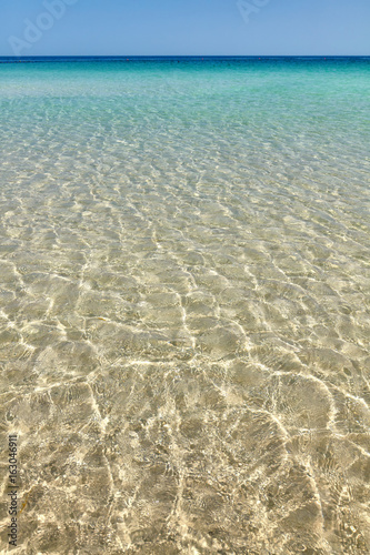 Shallow water with sun reflections, natural background or wallpaper.