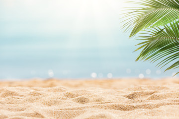 Tropical beach background