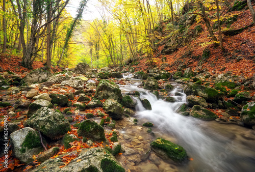 Fototapeta Naklejka Na Ścianę i Meble -  Autumn creek woods with yellow trees foliage and rocks in forest mountain.