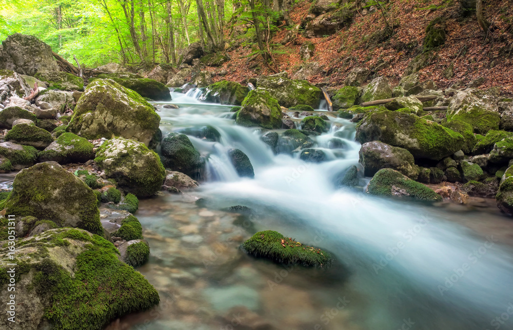 Mountain river in forest and mountain terrain. Crimea, the Grand Canyon. Nature composition.