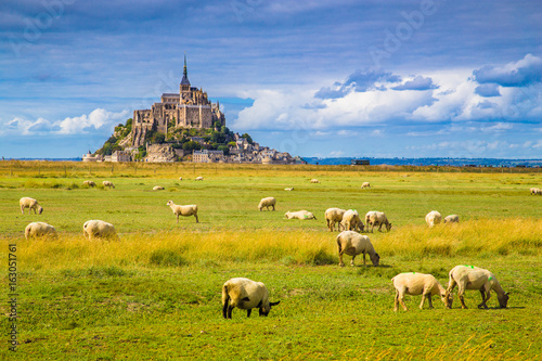 Obraz na płótnie Le Mont Saint-Michel with sheep grazing on green meadows in summer, Normandy, France w salonie
