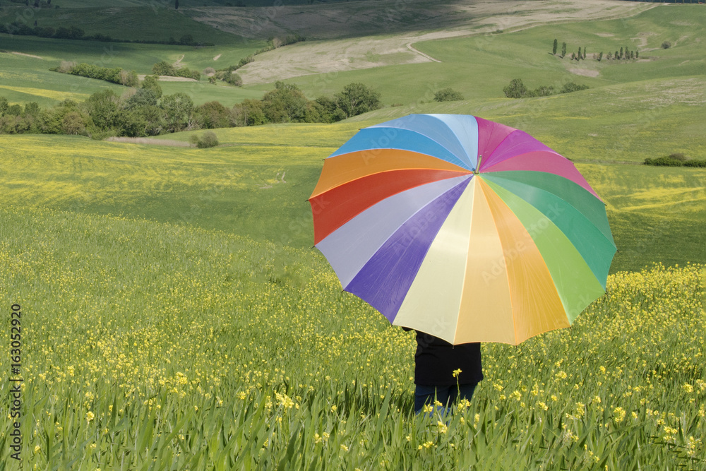 Ombrello multicolore in campo fiorito in primavera